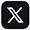 X Icon